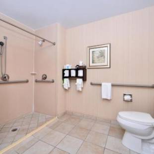 Фотографии гостиницы 
            Hampton Inn Pecos