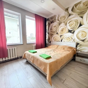 Фотография квартиры Квартира на Турусбекова 88/2