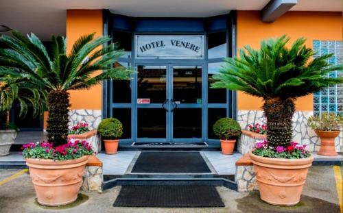Фотографии гостиницы 
            Hotel Venere