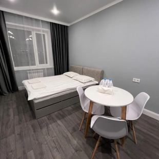 Фотография квартиры Апартаменты Студия-2 на Шахтеров 46/1-42-2