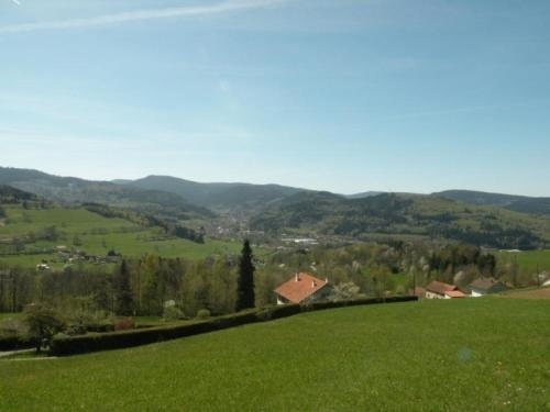 Фотография гостевого дома Gîte Fraize, 2 pièces, 3 personnes - FR-1-589-81