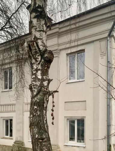 Фотография мини отеля Дом Майера