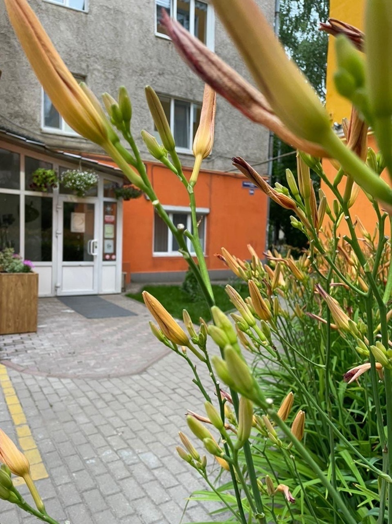 Фотография апарт отеля Б.Б.