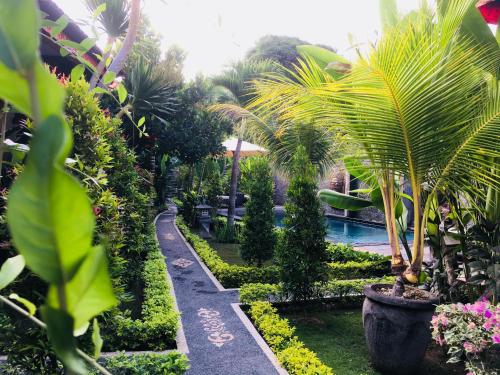 Фотография мини отеля Isola D'Oro lembongan