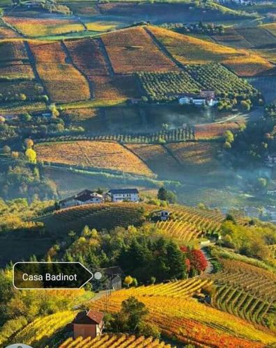 Фотография гостевого дома Casa Badinot