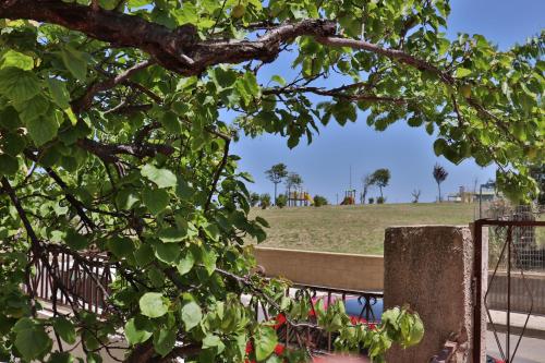 Фотография мини отеля Su Giardìnu