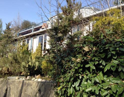 Фотография гостевого дома Тропический сад