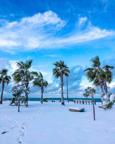 Фотографии гостиницы 
            Hotel Orbi Towers