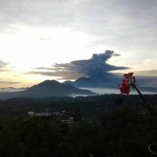 Фотографии хостела 
            Bunbulan Hill Hostel and Villa