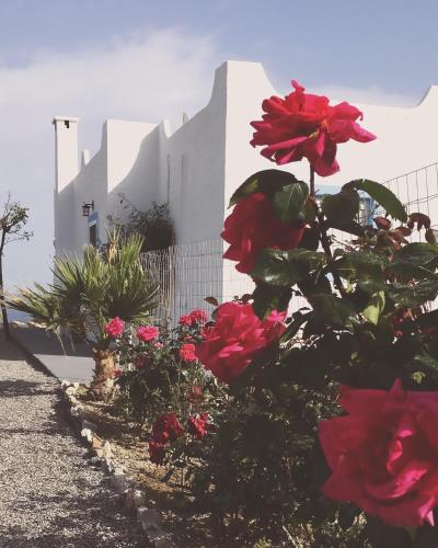 Фотография гостевого дома Anatoli Traditional Villa