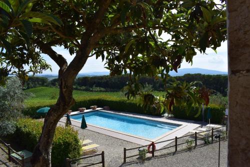 Фотография базы отдыха Agriturismo Amina, Winery & Hiking