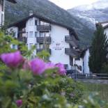 Фотография гостиницы Hotel Ambiente