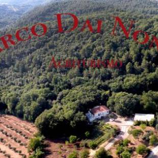 Фотографии базы отдыха
Agriturismo ParcodaiNonni