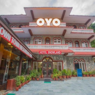 Фотография гостиницы Hotel Snowland