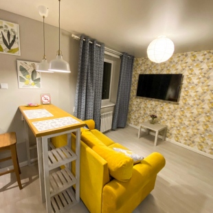 Фотография квартиры Квартира Солнечная cтудия Гагарина 82А