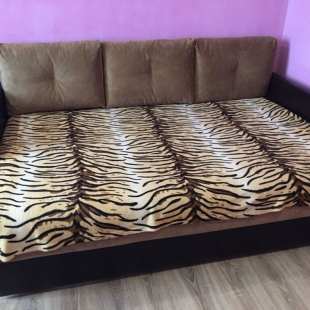 Фотография квартиры Апартаменты в центре на Чкалова 18