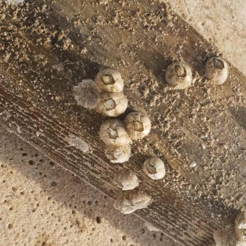 Фотографии базы отдыха 
            Автомобилист