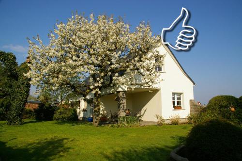 Фотография гостевого дома Ferienhaus Hummel-Nest