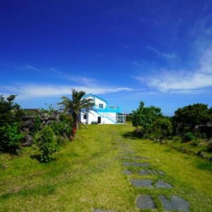 Фотография гостиницы Hotel Amor