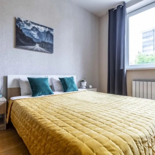 Фотография квартиры Апартаменты Белинского 30 (207)