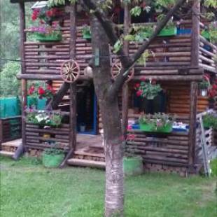 Фотографии гостевого дома 
            Pensiunea Anita