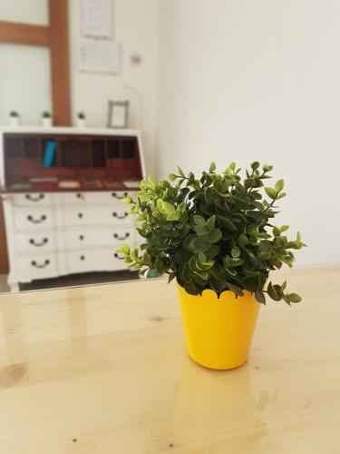 Фотография хостела JACOB'S HOSTEL TUI