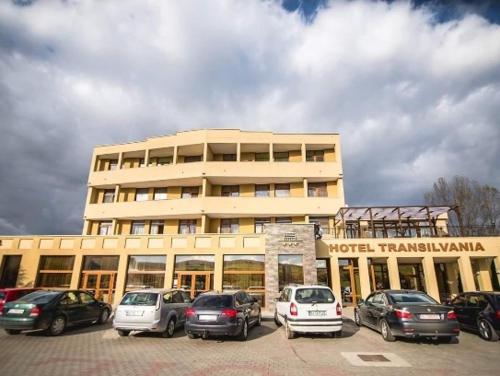 Фотография гостиницы Hotel Transilvania Zalău