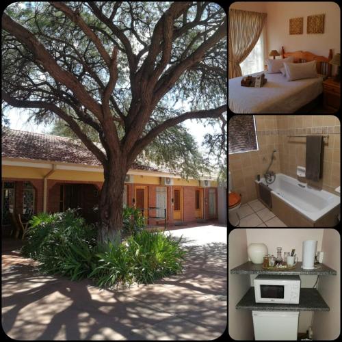 Фотография гостевого дома Acacia Guesthouse