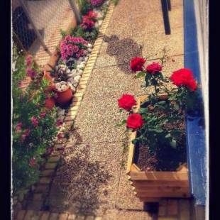 Фотографии гостевого дома
Hostal Puerto de Santa Maria