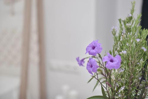 Фотография апарт отеля Blue Paradise Apartments