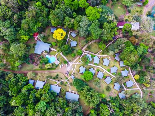 Фотография гостиницы Chachagua Rainforest Hotel & Hot Springs