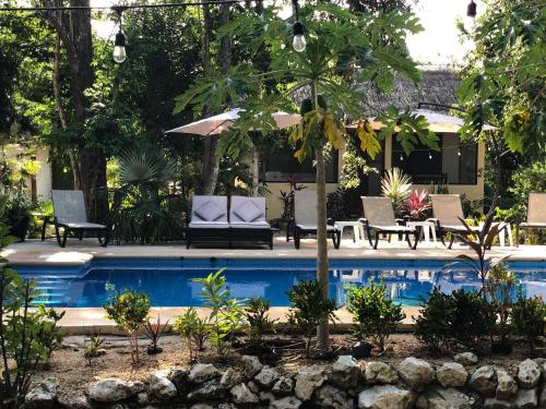 Фотография гостиницы Maya Eco Village