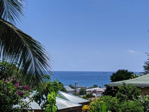 Фотография мини отеля Villa Rosa Karibella