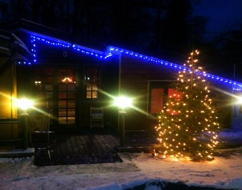 Фотография гостевого дома Дом Морозовых в Парголово