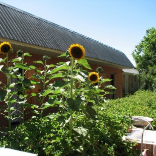 Фотография гостиницы На Красной 69