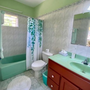 Фотография мини отеля The Blue Orchid