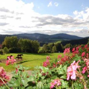 Фотографии гостевого дома
Bauernhof Kroner