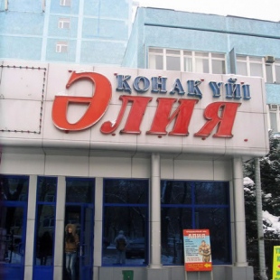 Фотография гостиницы Алия