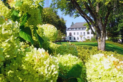 Фотография гостиницы Dorint Parkhotel Siegen