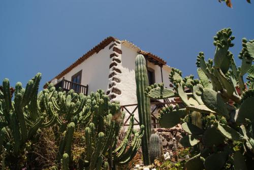 Фотография гостевого дома Casa Rural El Olivar La Almazara