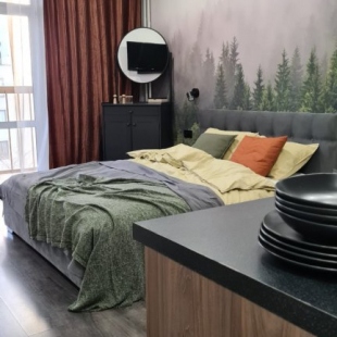 Фотография квартиры Апартаменты Apart Seasons Belinskogo 30