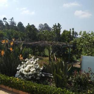 Фотографии гостевого дома
Casa da Estivada, 313