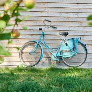 Фотографии мини отеля 
            B&B Molenstreek