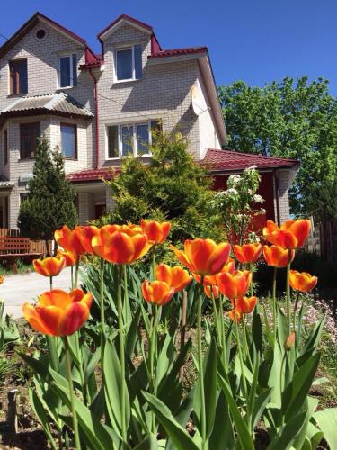 Фотография хостела Homey