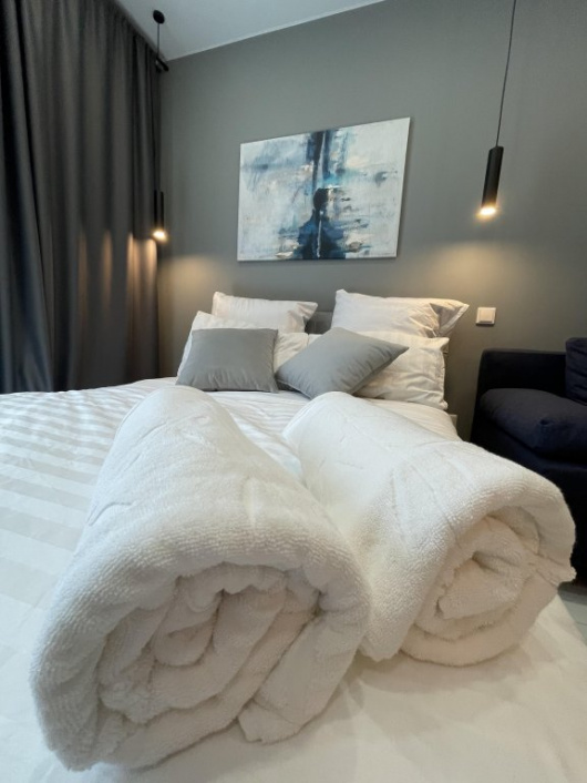 Фотографии квартиры 
            Апартаменты Сканди-студия в ЖК Южный бульвар