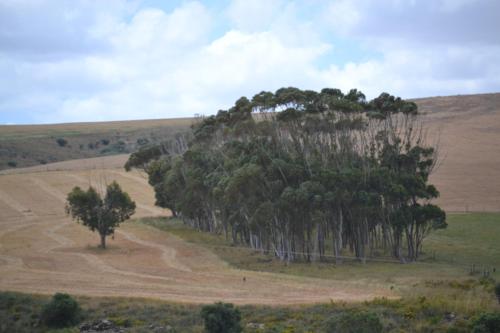 Фотография базы отдыха Old Sam's Cottage