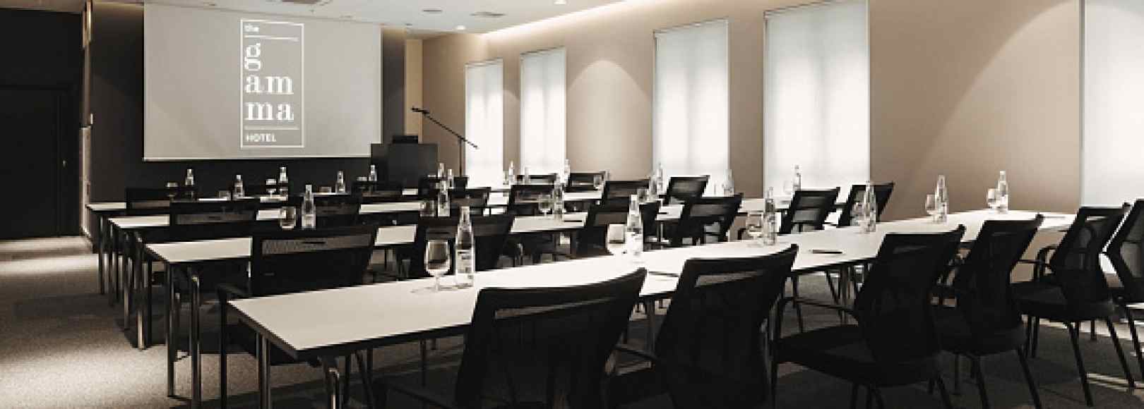 Фотография конференц-зала Гамма