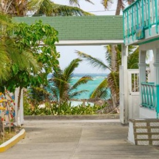 Фотография мини отеля Villa Sunny Days