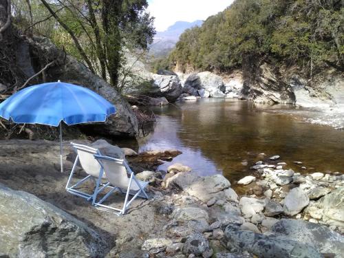 Фотография гостевого дома Tranquil Holiday Home in Corsica with Terrace