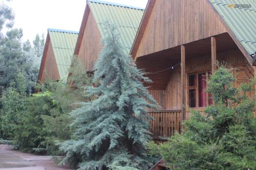 Фотографии базы отдыха
АльТаир